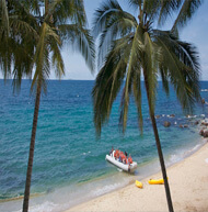Picture of a beach, boat and 2 palm trees featured on the Tours page of the Vallarta Medical Center Inn, Puerto Vallarta, Mexico.  The Tours page features tours and sightseeing in Puerto Vallarta, Mexico