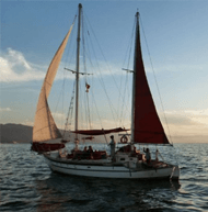 Picture of a sailboat featured on the Tours page of the Vallarta Medical Center Inn, Puerto Vallarta, Mexico.  The Tours page features tours and sightseeing in Puerto Vallarta, Mexico